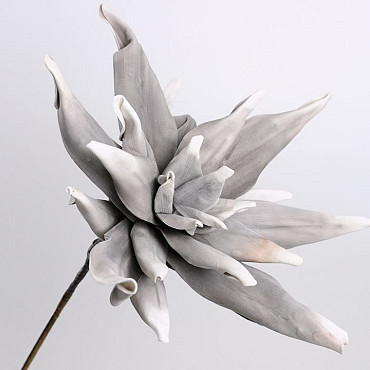 Foam Agave 80cm taupe