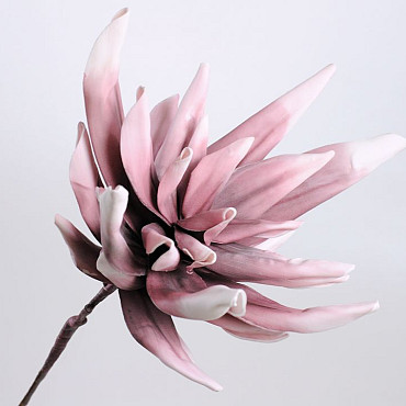 Foam Agave 80cm old pink