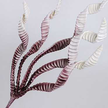 Exotic Plant 100cm old pink