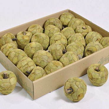 Pana Apfel 6cm 25-Pack