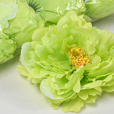 Peony Green D18cm 