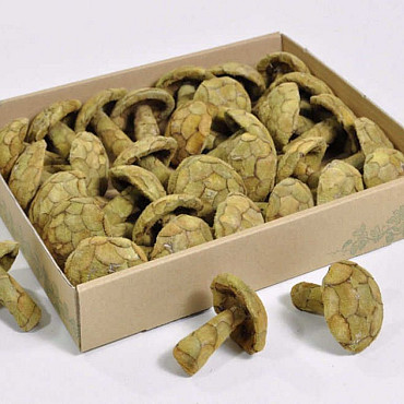 Pana Paddestoel 6-8cm 30-Pack