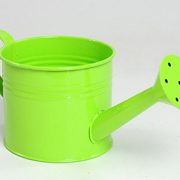 Planter Watering Can D10cm Green