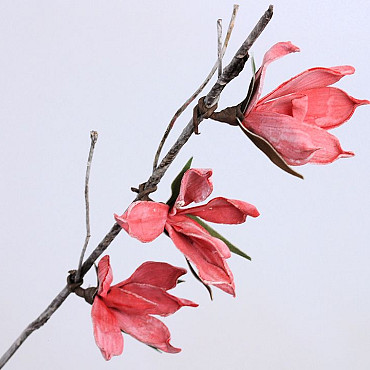 Foam Magnolia 85cm rood