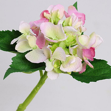 Hortensia 35cm Rose