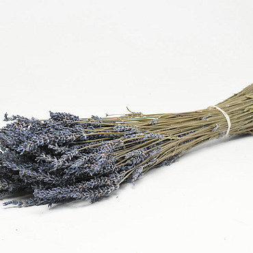 Lavendin 40cm 100Gr