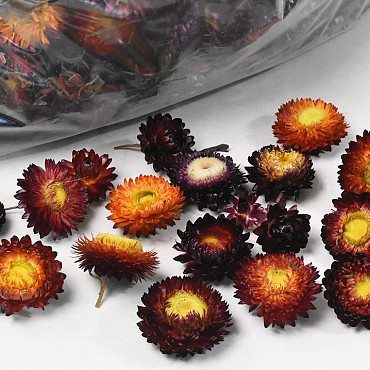 Helichrysum Red Heads 250gr.