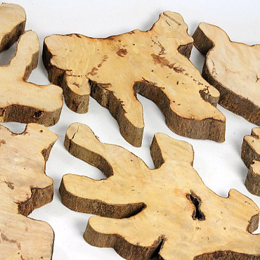 Wood Slices 30-45cm