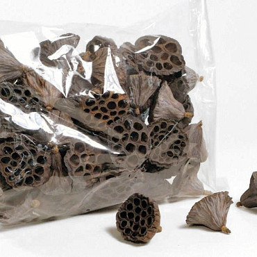 Lotus 4-6cm 50-Pack