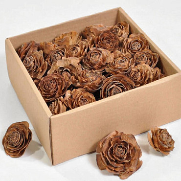 Roses de cèdre 50pcs