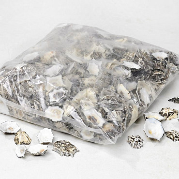 Shells Paetella Sachar 1kg