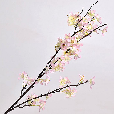 Apple Blossom Pink 84cm