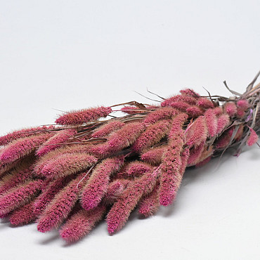 Setaria Roze 65cm