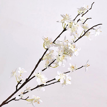 Apple Blossom White 84cm