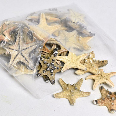 Starfish Rhino 30pcs.