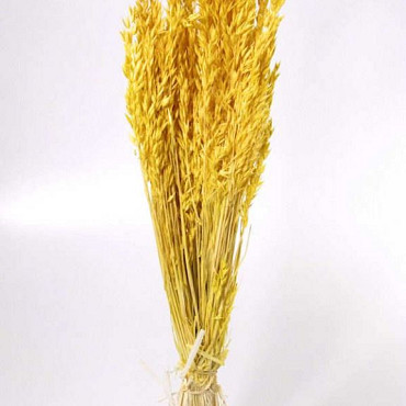 Bouquet Avoine Jaune Clair 70cm