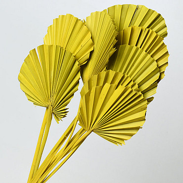 Palm Spear round Yellow 40-55cm 