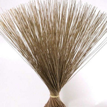 Pan Reed 75cm 1kg