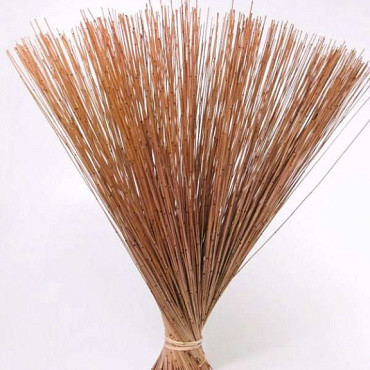 Reed Cane Zalm-roze 75cm