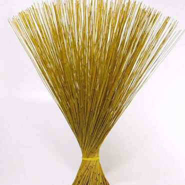 Bouquet Reed Cane Jaune 75cm