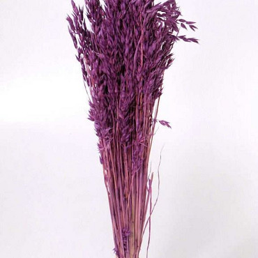 Bouquet Avoine Violet Clair 70cm