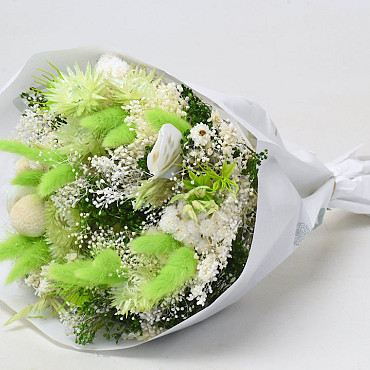 Bouquet de Fleurs Séchées Vert Clair 
