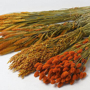 DIY Bouquet de Fleurs Sechées Orange Mix