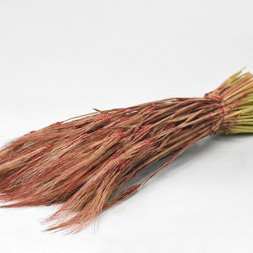 Bouquet Orge Rouge 70cm