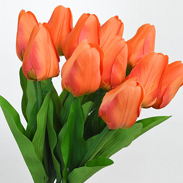Tulp Oranje 60cm