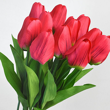 Tulip Red 60cm