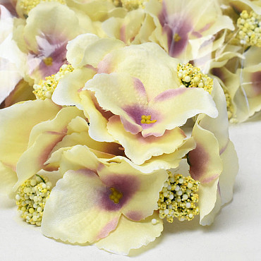 Tête d'Hortensia Crème/Mauve D14cm 