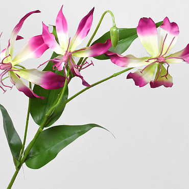Artificial Gloriosa Pink 80cm 