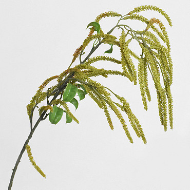 Kunst Hazelaar Groen 78cm