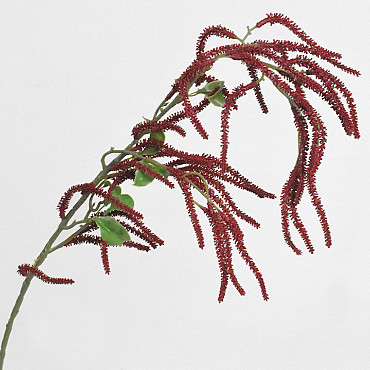 Brindille de Noisetier Burgundy 78cm 