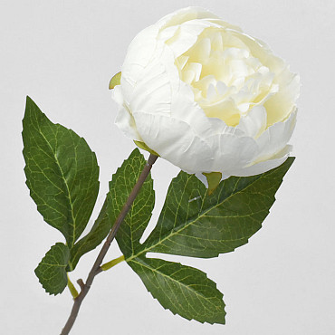 Pivoine artificielle Blanc 42cm 