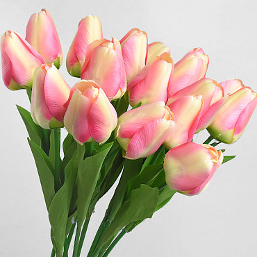 Tulp Roze 60cm