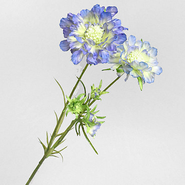 Kunst Scabiosa Blauw 84cm