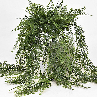 Adianthum 195lvs 85cm