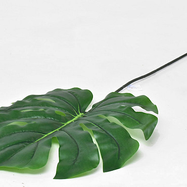 Split Philo XL Green 45/107cm