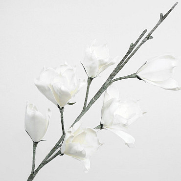 Foam Magnolia Wit, D 18cm