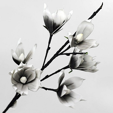 Schaumstoff Magnolia Weiß/Anthrazit, D 18cm