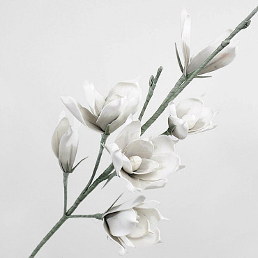 Schaumstoff Magnolia Weiß/Grau, D 18cm