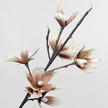 Schaumstoff Magnolia Weiß/Mocca, D 18cm