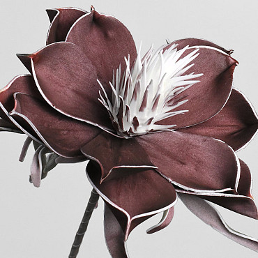 Foam Bloem Aubergine, D 20cm