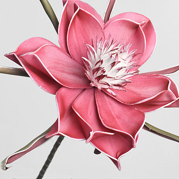 Foam Flower Dark Pink, D 20cm
