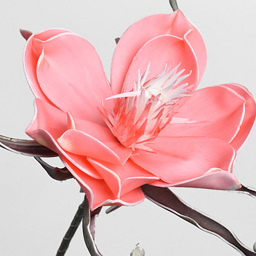 Foam Bloem Roze, D 20cm