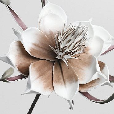 Foam Bloem Wit/Mocca, D 20cm