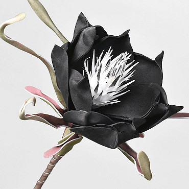 Foam Bloem Zwart, D 20cm