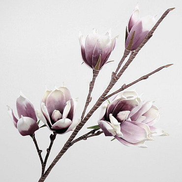 Foam Magnolia Lila