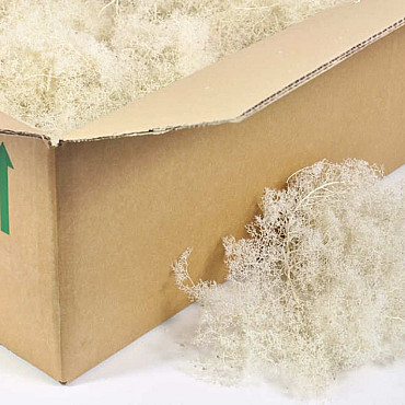 Sea Moss Bleached 80x40x13cm